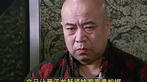 叶三天是哪部电视剧,揭秘神秘古墓的传奇之旅